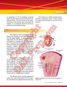 Bio5b